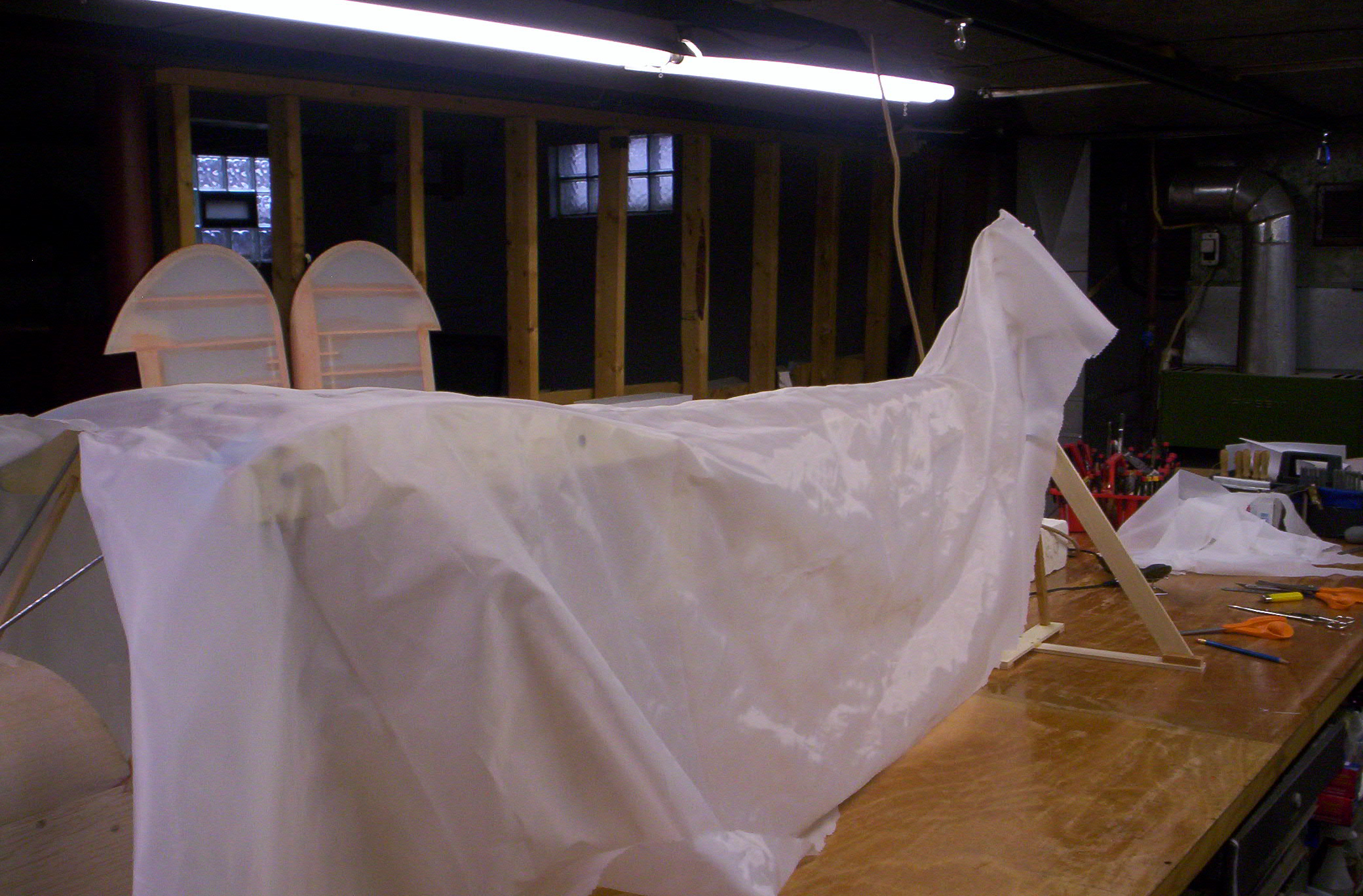 000_0496.JPG