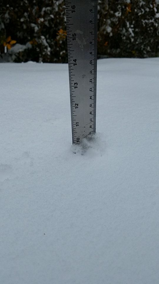10 inches.jpg