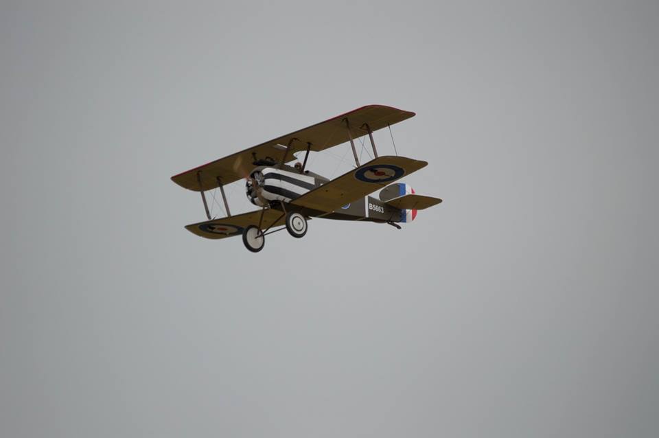 13912704_10210128300430743_286892012012032196_n.jpg