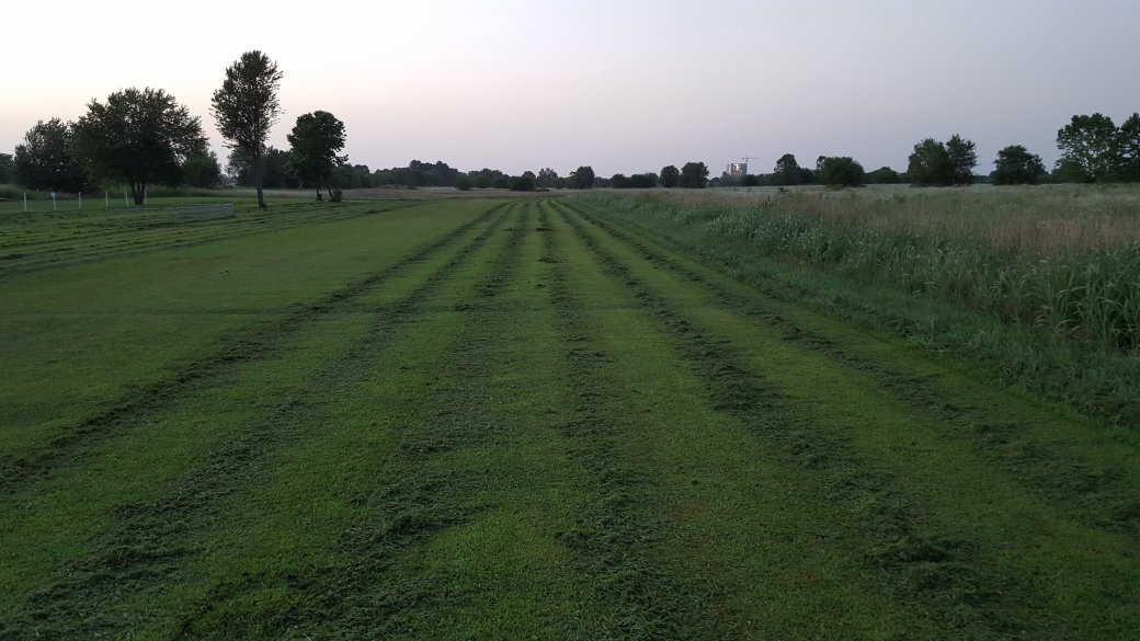 20150622_205018.jpg