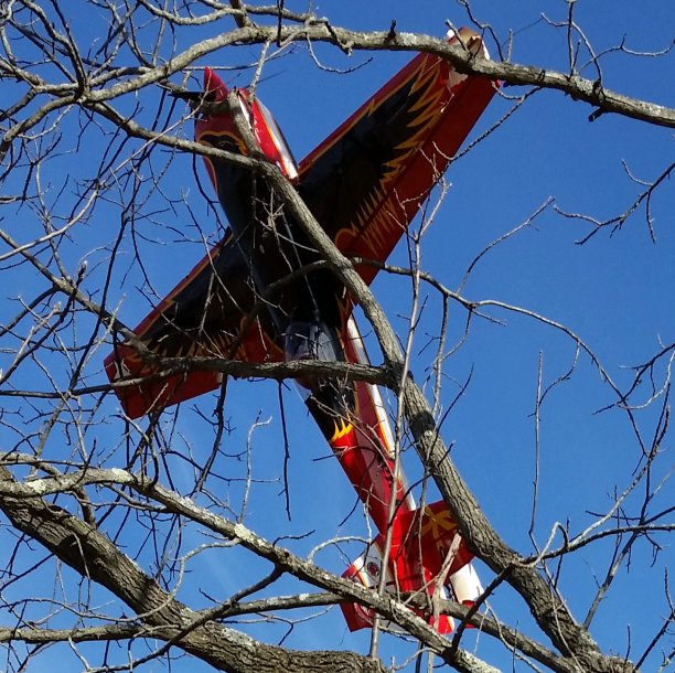 20151126_105237 cropped.jpg
