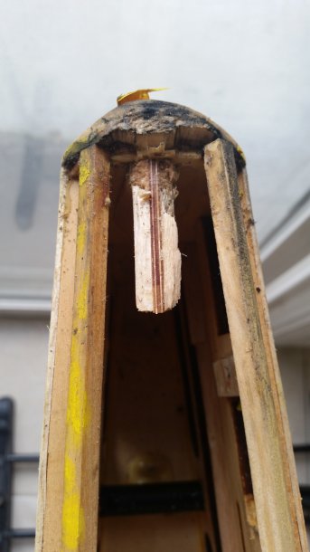 20160227_131543.jpg