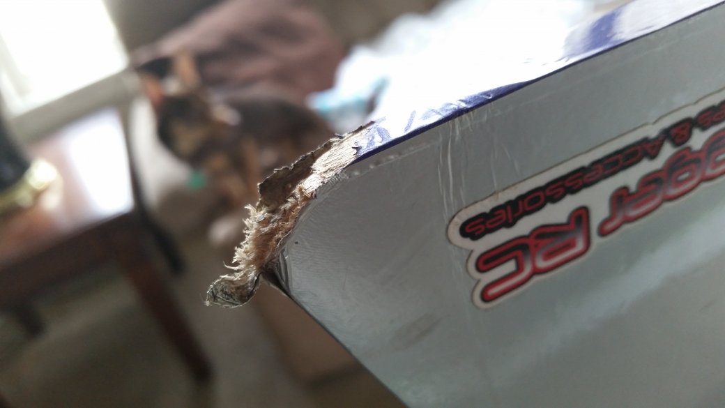 20160316_135715.jpg
