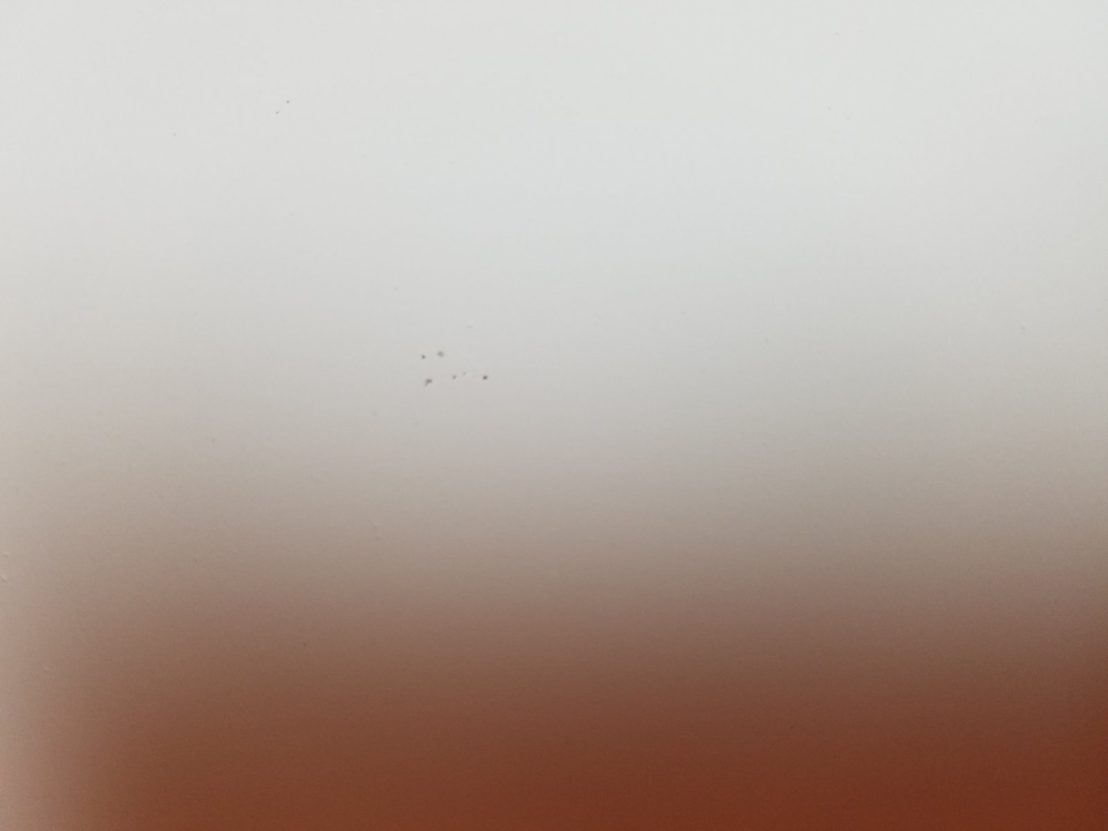 20170320_060640.jpg