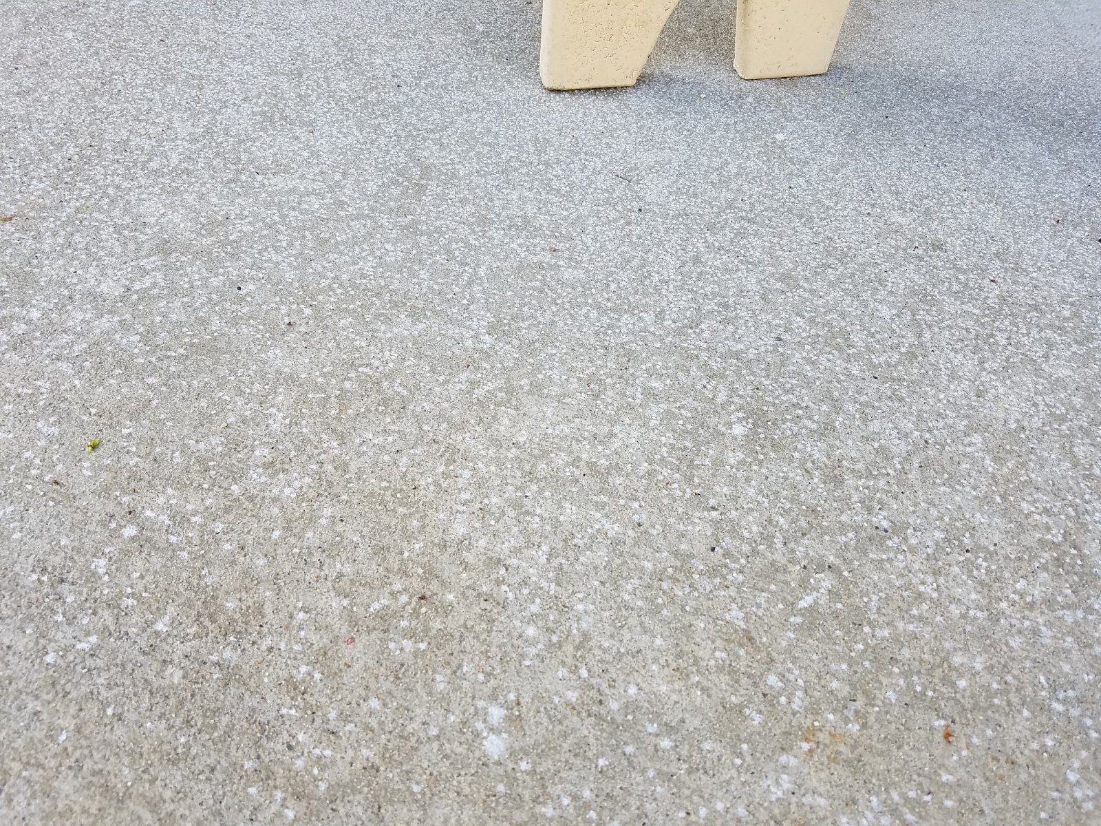 20170325_105240.jpg