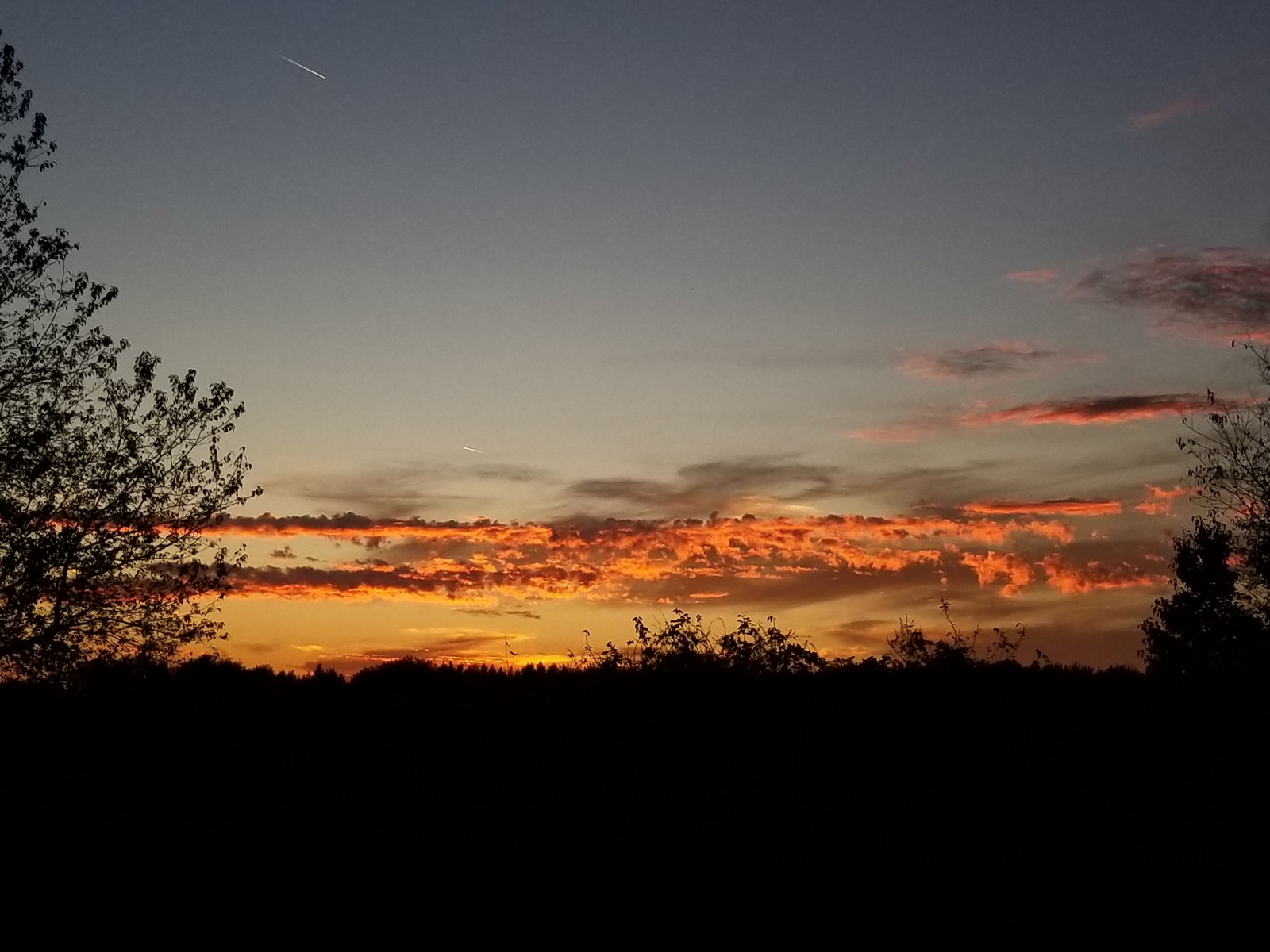 20171001_190349.jpg