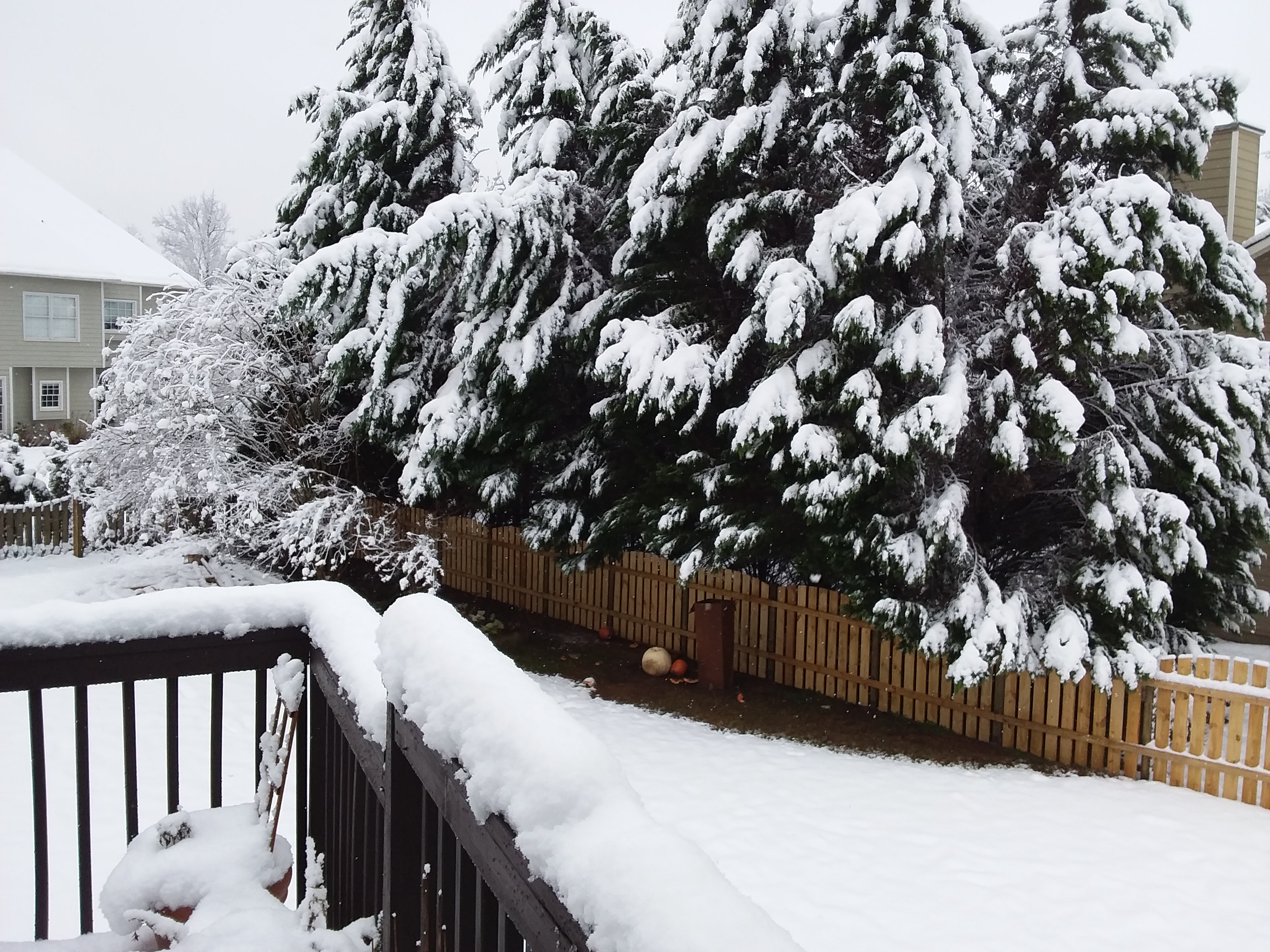 20171209_093656.jpg