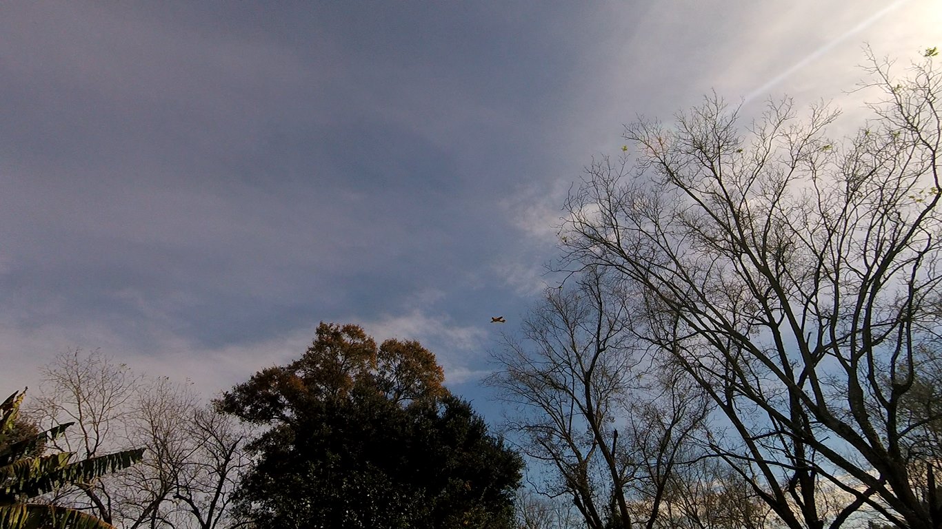 20181206-140639.JPG