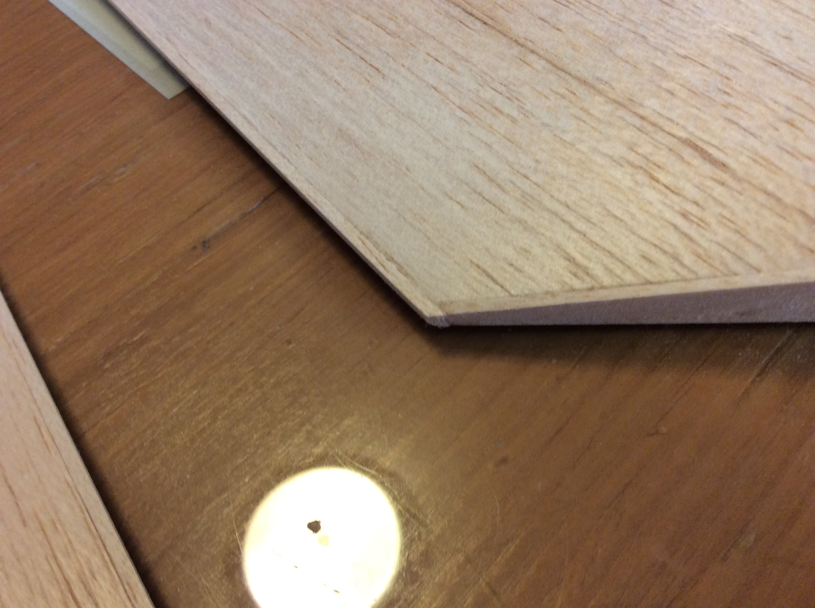 2A6EC028-8DEC-4916-8D84-91926FA40BAF.jpeg