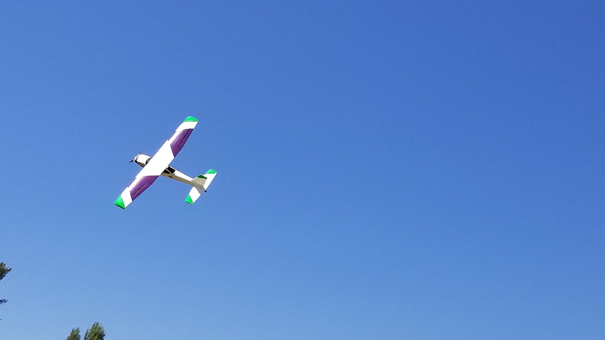 39570008_10218081991828251_7158019120015867904_o.jpg