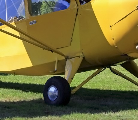 5331107 (2).jpg