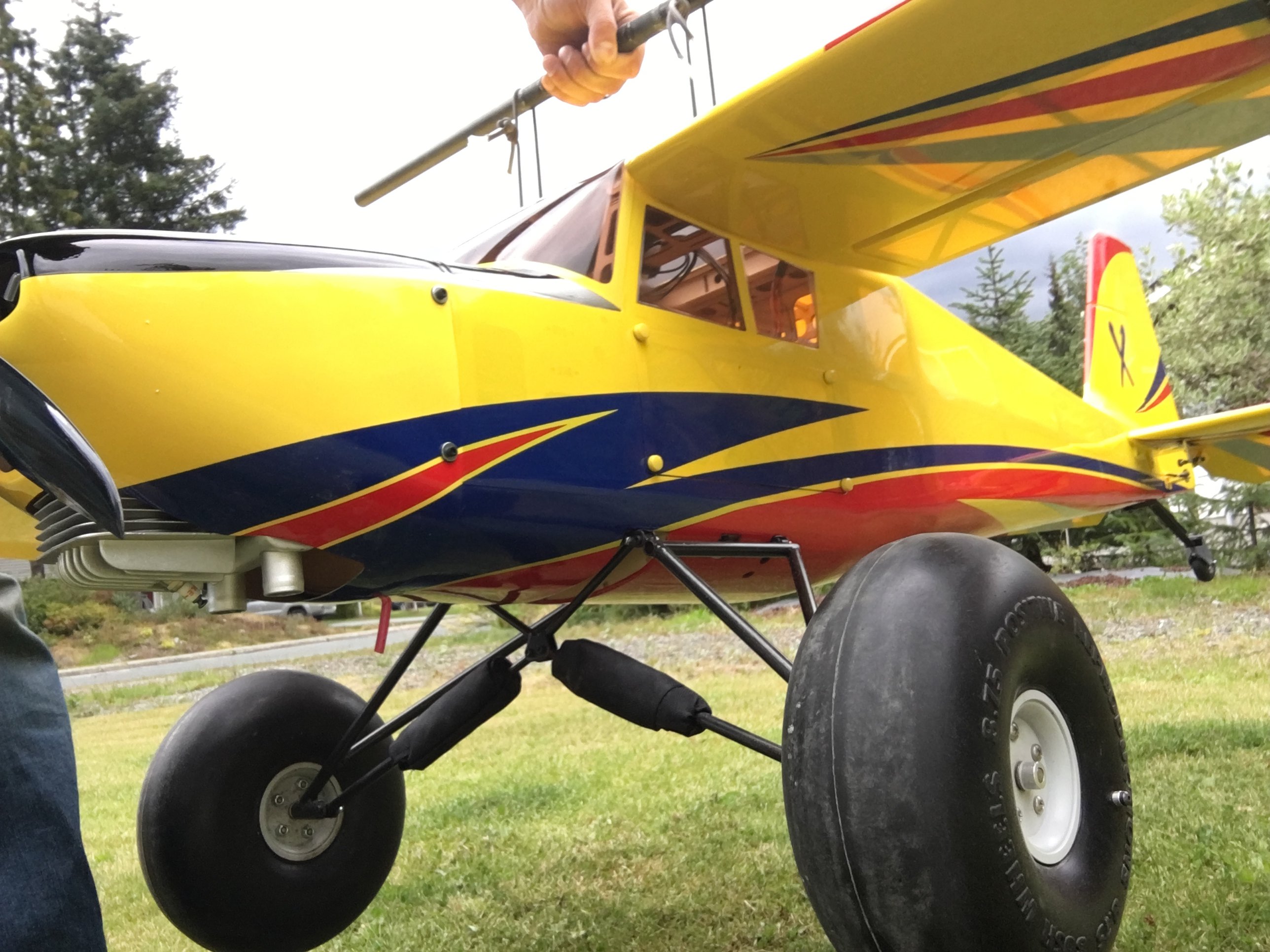 53D3AFDB-BC90-41FD-B523-BB075566BF8E.jpeg
