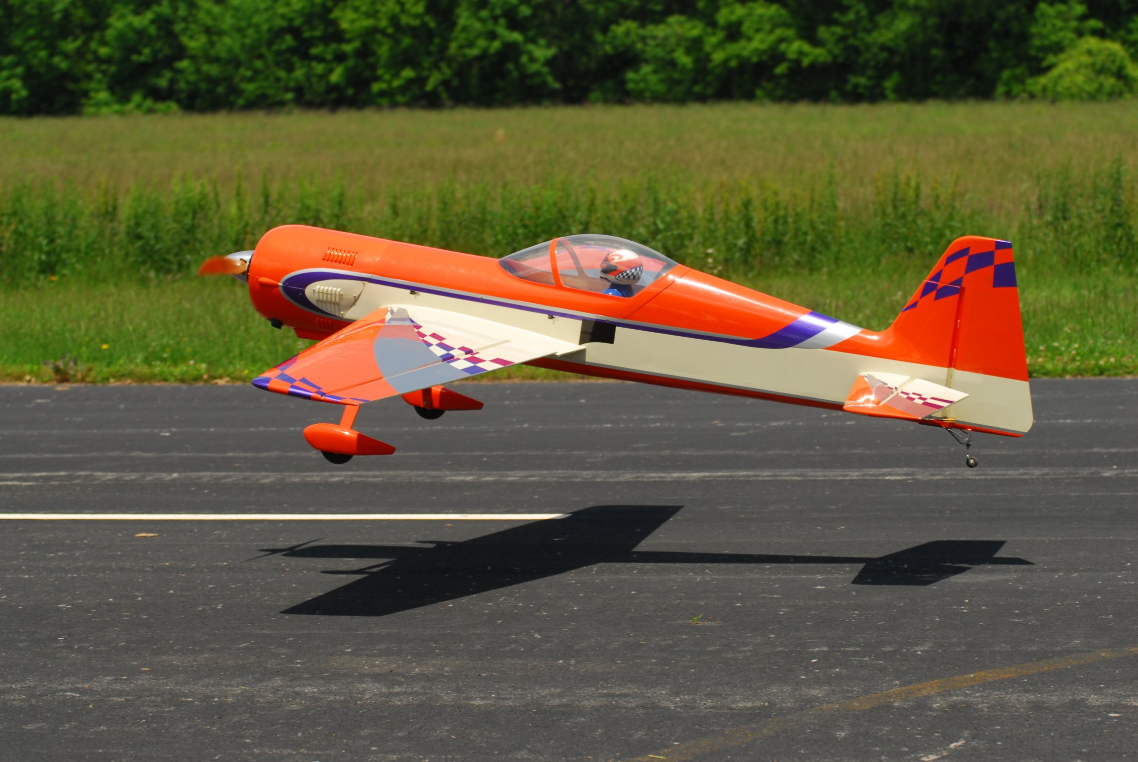 What color airplane is better? | Page 2 | GiantScaleNews.com