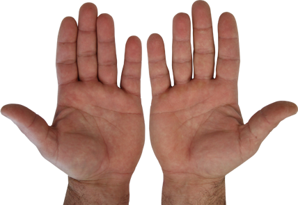 6a00d834515c5469e201bb095bffde970d-450wi.png