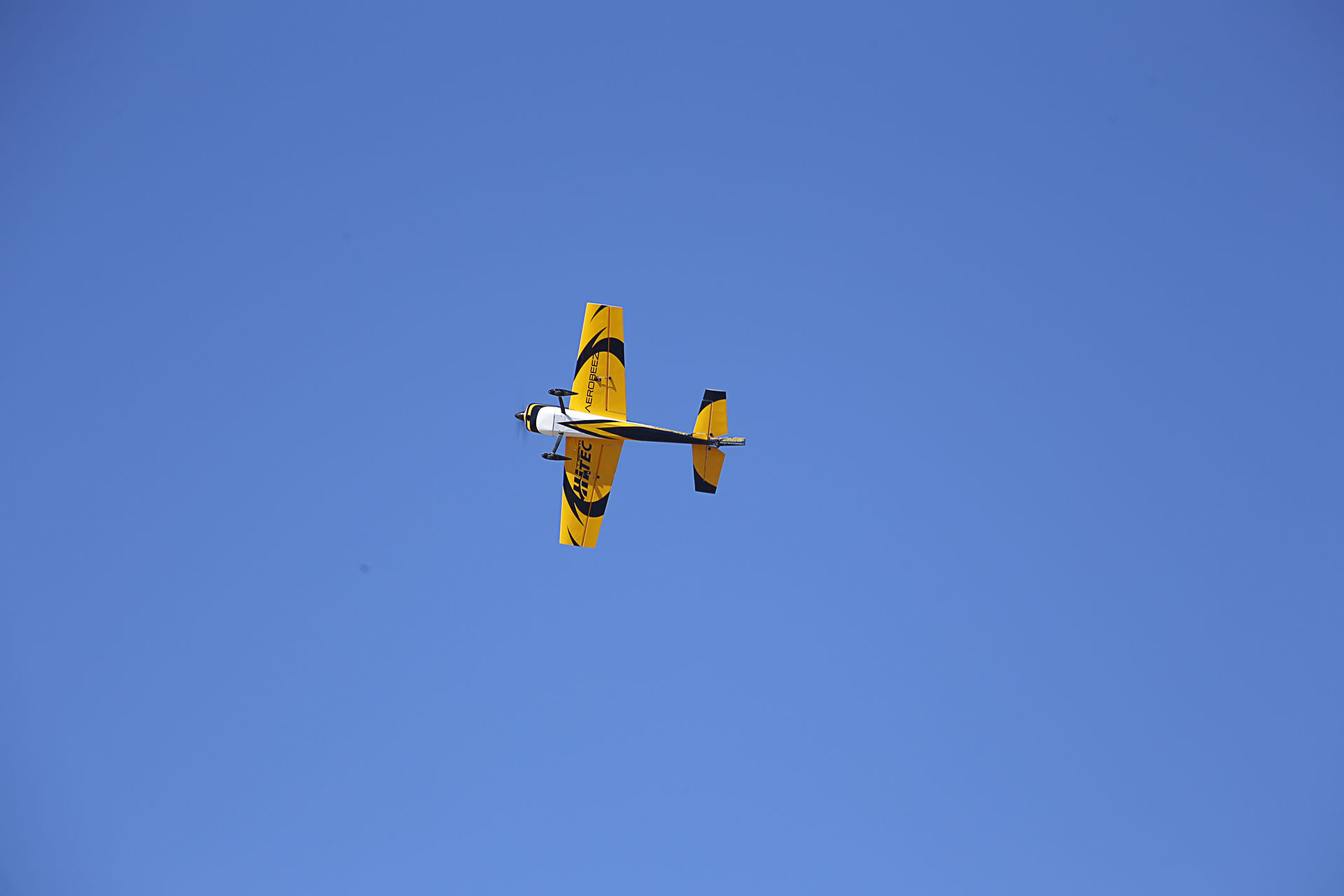 _MG_0397.jpg