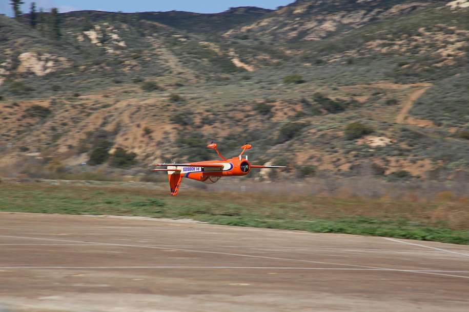 _MG_9029.jpg