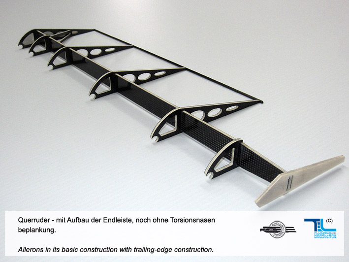 aileron_upperwing_01.jpg