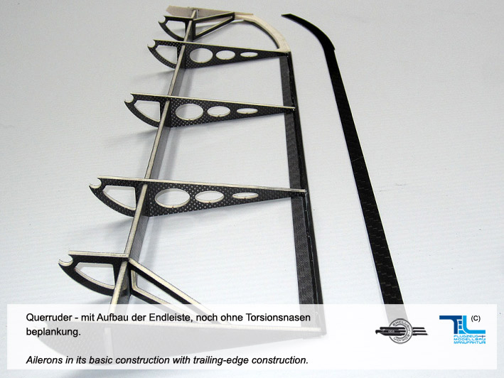 aileron_upperwing_02.jpg