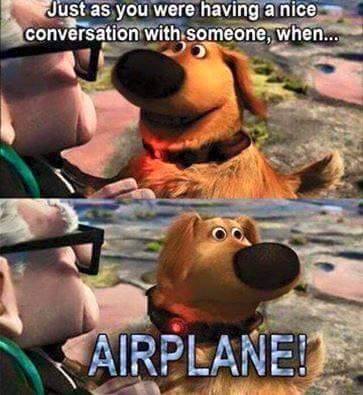 Airplane.jpg