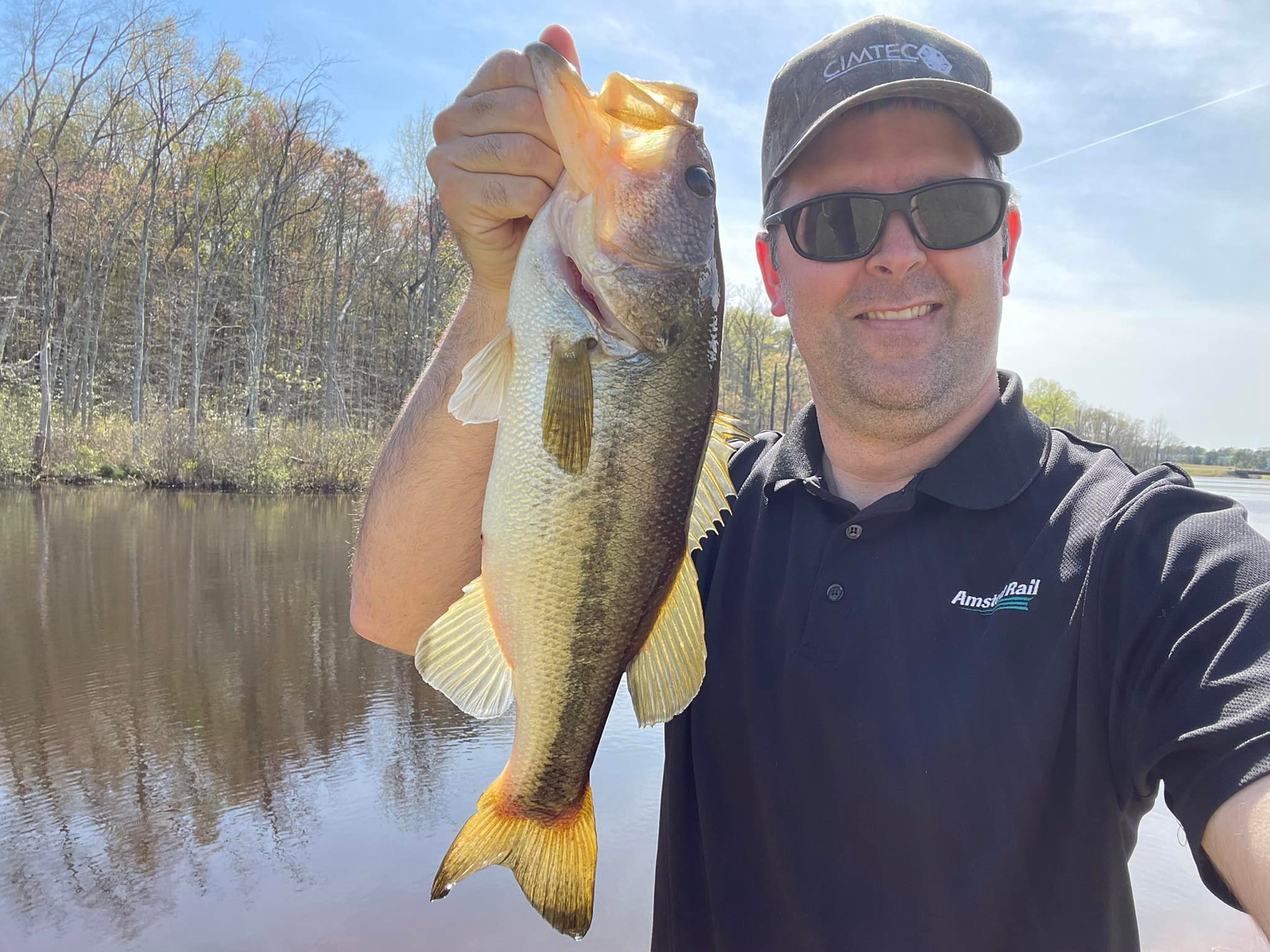 Bass #3.jpg
