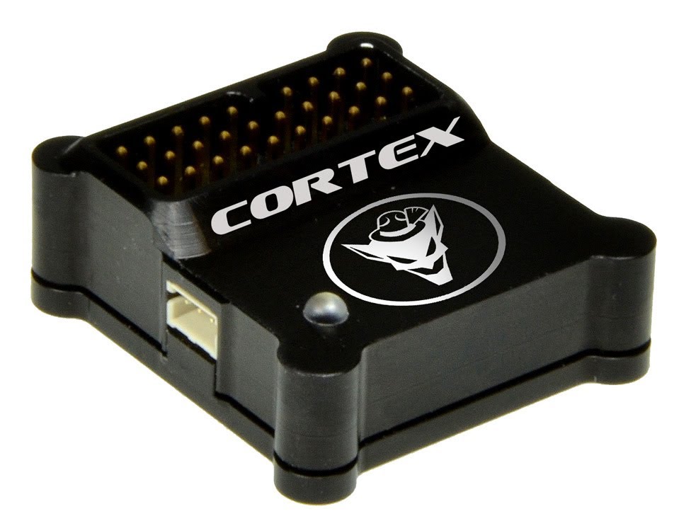 bavariandemon-cortex.jpg