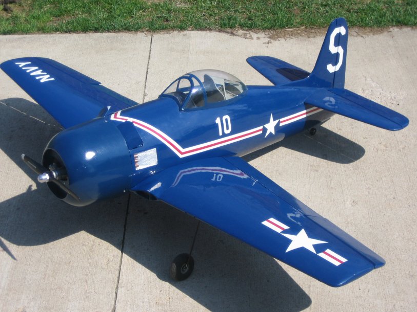 bearcat01.jpg