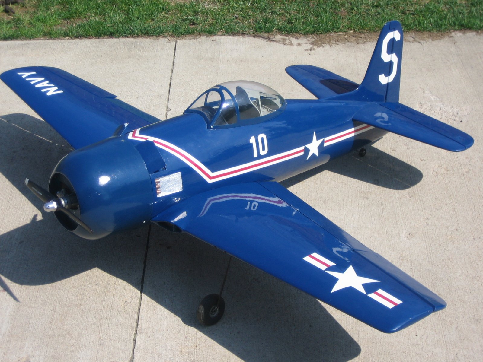 bearcat01.jpg