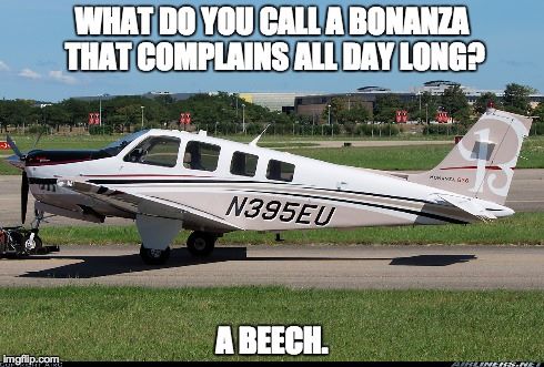 Beech.jpg
