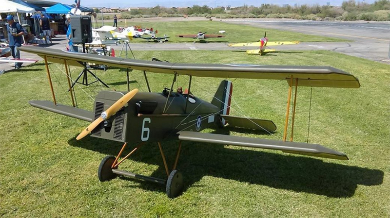 bipe800grass.jpg
