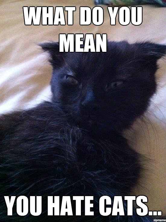 cats.jpg