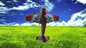 Checkenballs grass copy.jpg