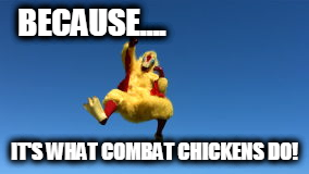 combat chicken do.png