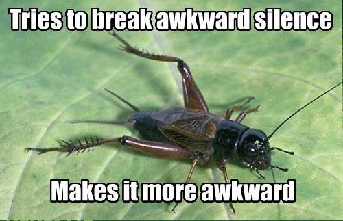 Crickets.+found+on+facebook_e1cfbd_3982130.jpg