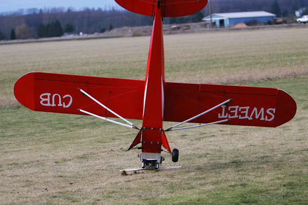 cub crash.jpg