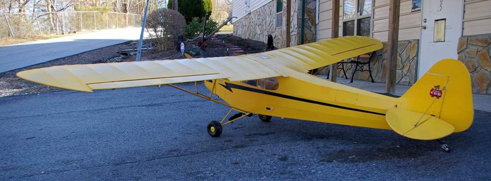 cub12.jpg