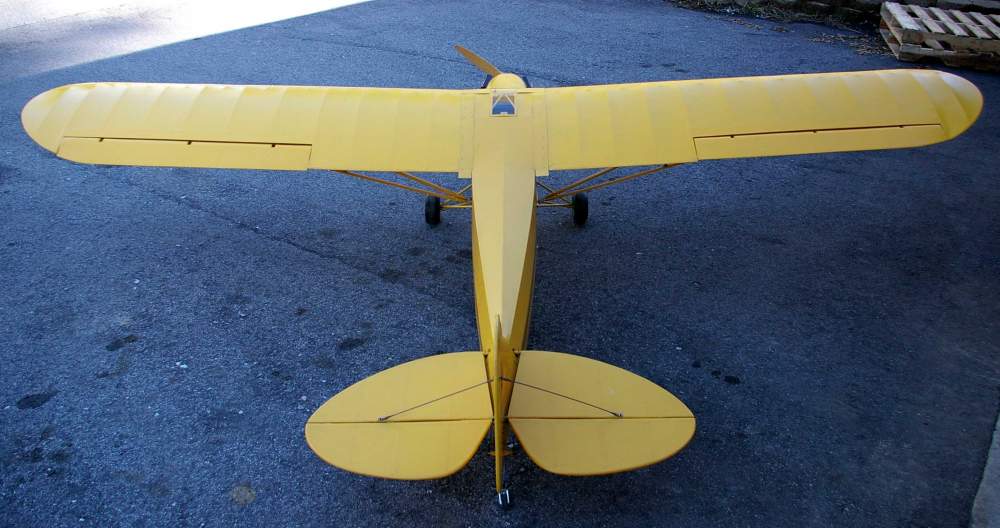 cub7.jpg