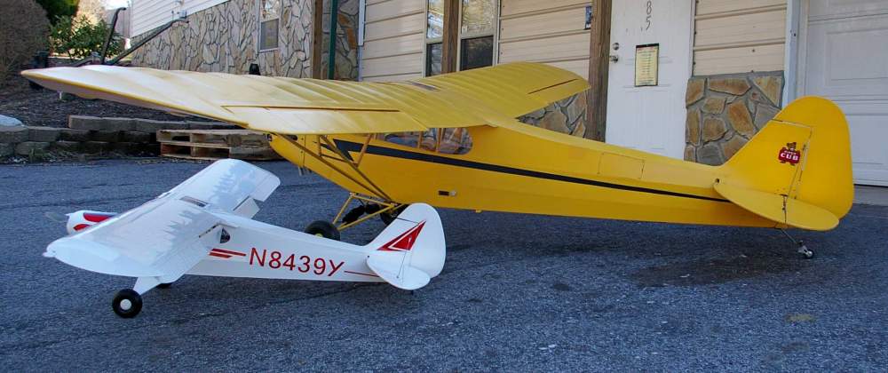 cub9.jpg