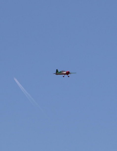 Dalton Yak in the sky.jpg