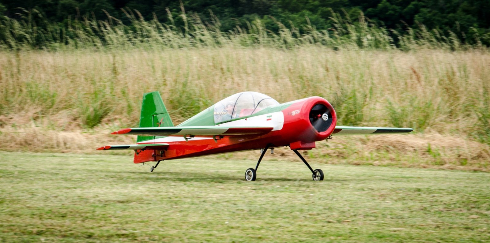 Dalton Yak MS 2.jpeg