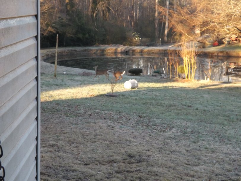 DSCF3789.JPG