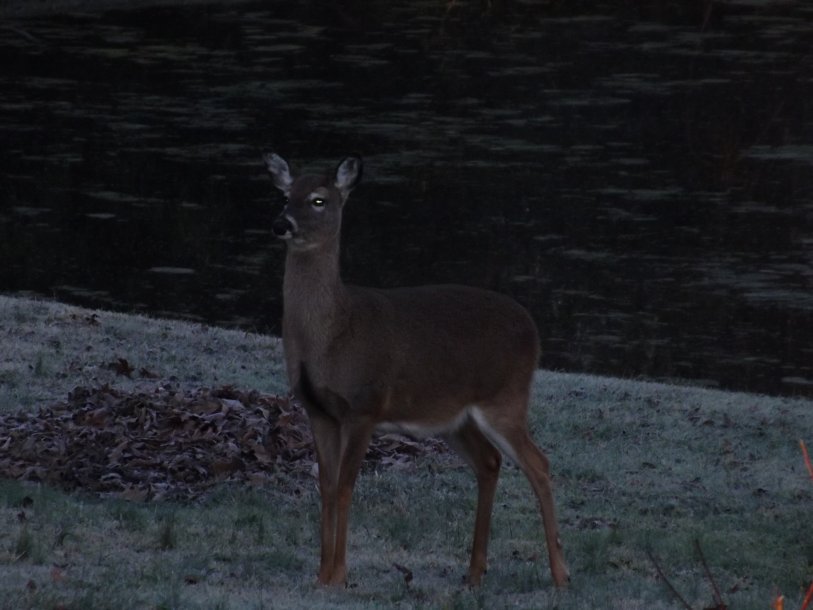 DSCF3790.JPG