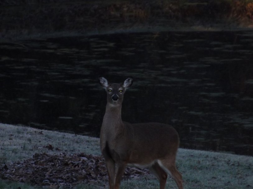 DSCF3792.JPG