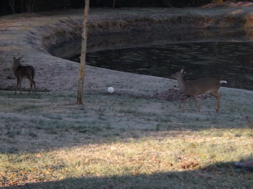 DSCF3794.JPG