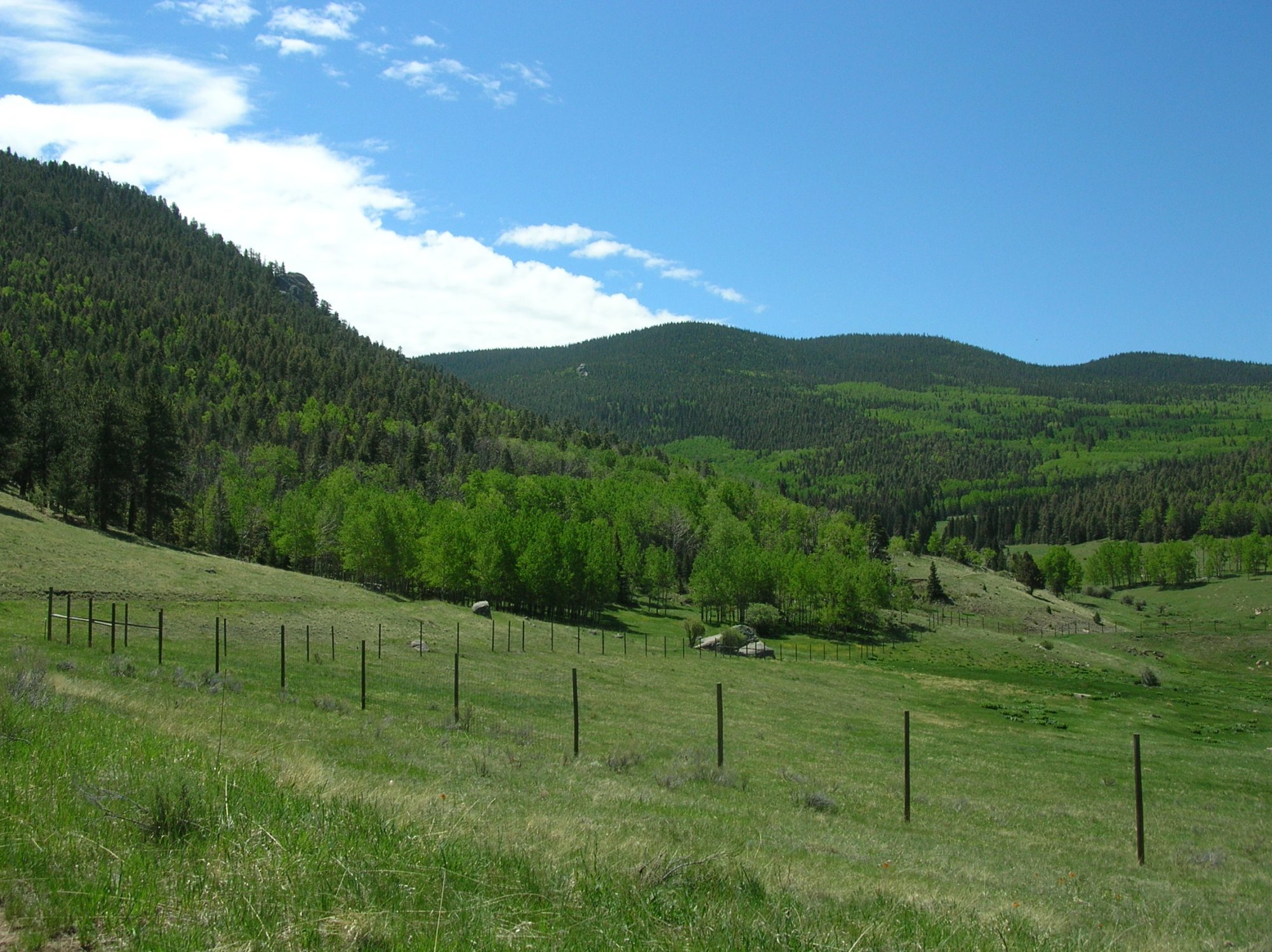 DSCN1278.JPG