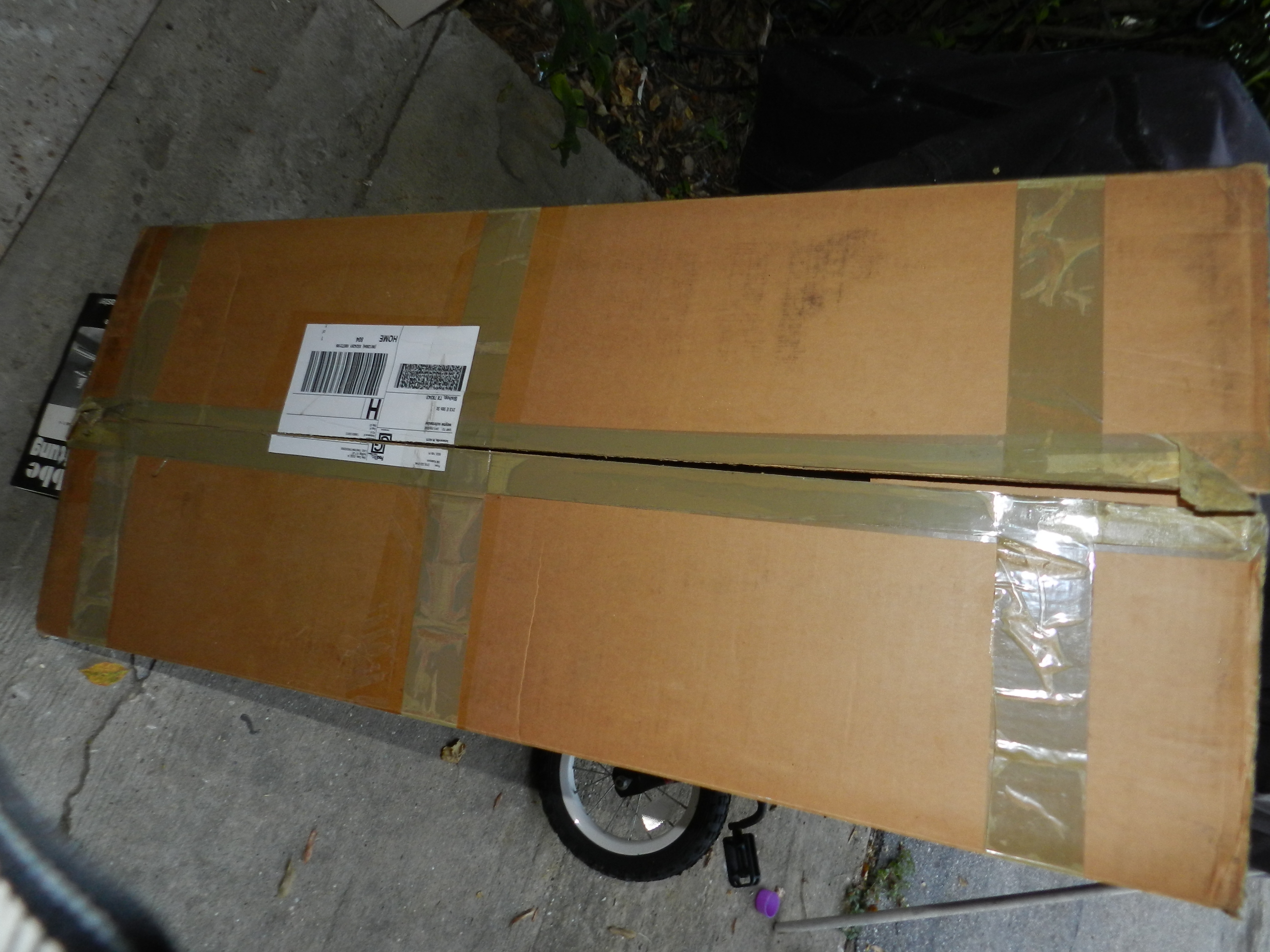 DSCN6346.JPG