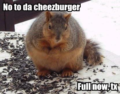 FatSquirrel.jpg