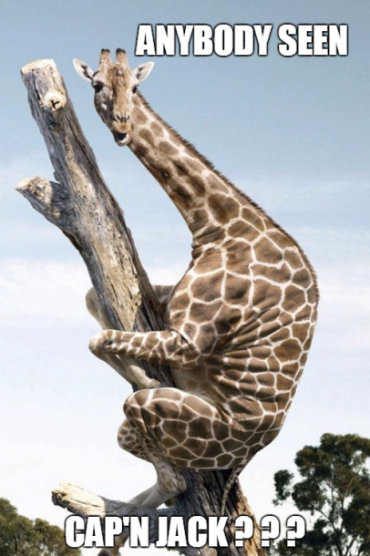 giraffe tree.png