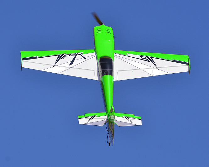 Green Viper.jpg