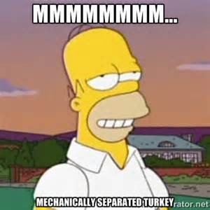 homer.jpg