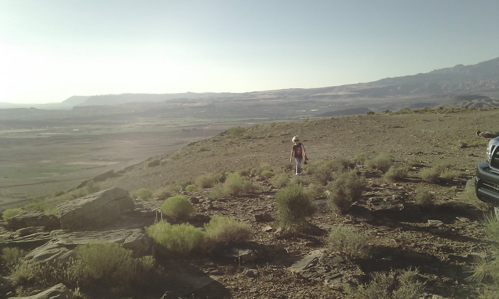 IMAG0104.jpg